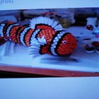../previews/szigyarto_laszlone01.jpg